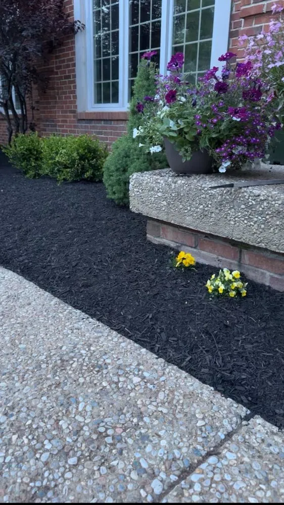 Top-rated residential landscaping in Louisville, KY by Sosa Tree Services