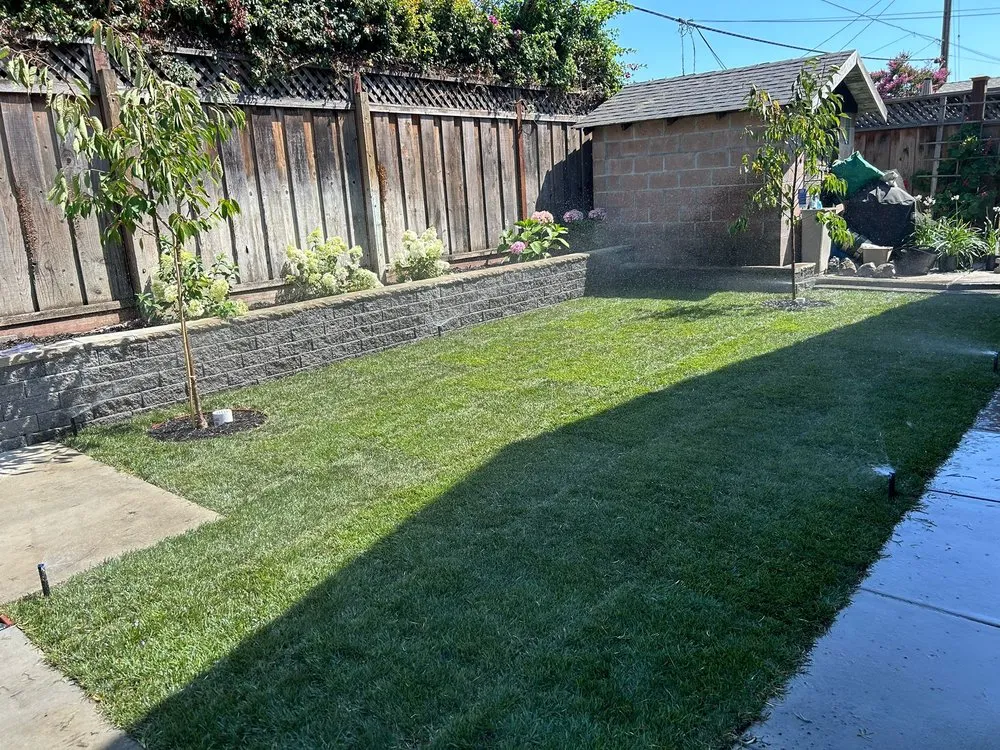 Trusted yard maintenance in San Jose, CA - Sosas Gardening