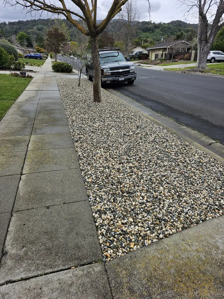 Affordable garden landscaping in San Jose, CA - Sosas Gardening