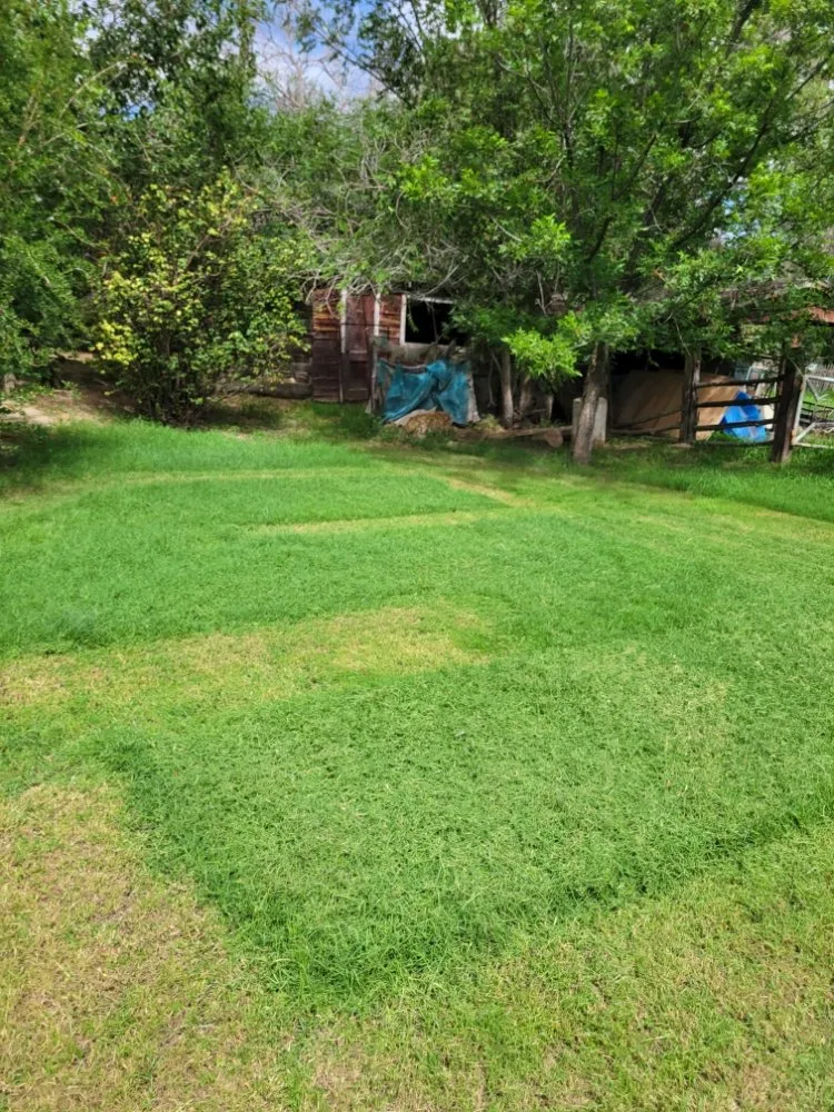 Expert landscape installation with custom design in El Paso, TX by Sosazzz Lawn Service