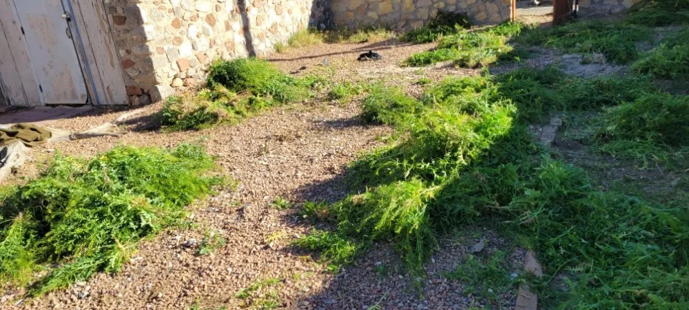 Expert outdoor landscaping near you across El Paso, TX - Sosazzz Lawn Service