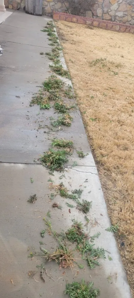 Expert outdoor landscaping experts serving El Paso, TX - Sosazzz Lawn Service