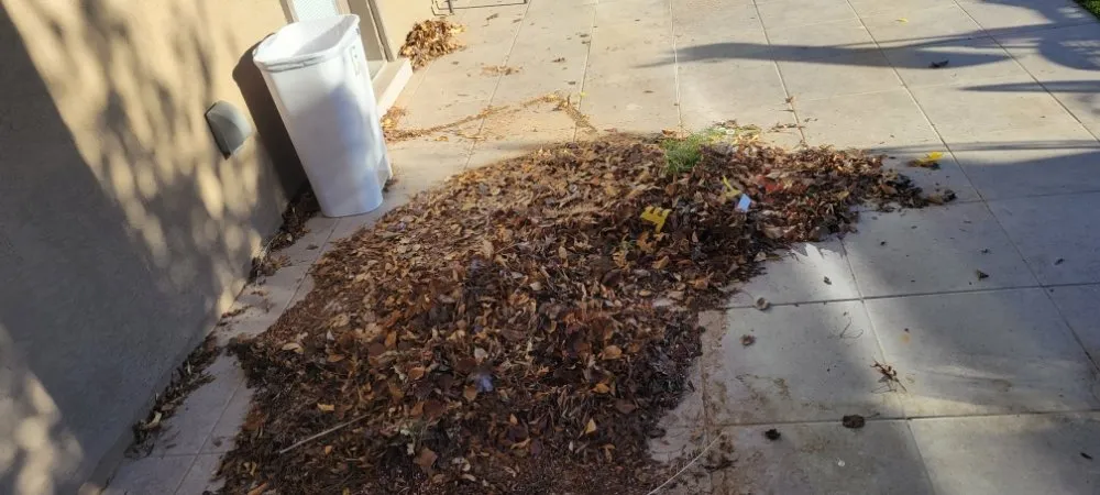 Local outdoor landscaping in El Paso, TX - Sosazzz Lawn Service