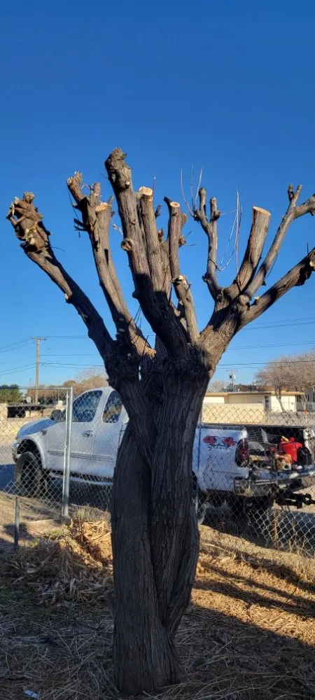 Expert yard maintenance in El Paso, TX - Sosazzz Lawn Service