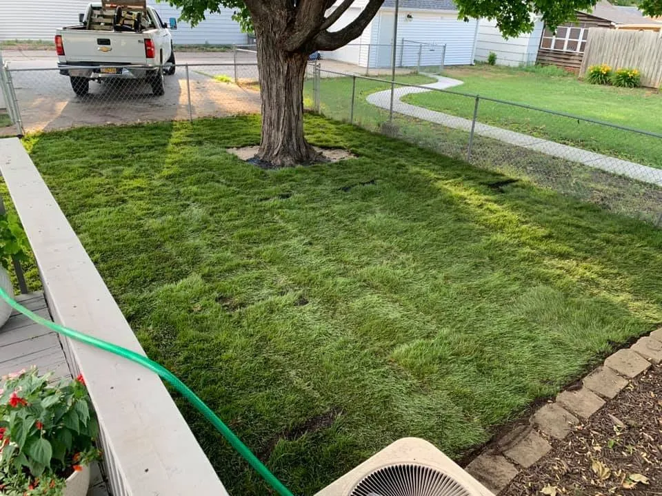 Expert lawn mowing service experts serving Minneapolis, MN - Sota Landscaping