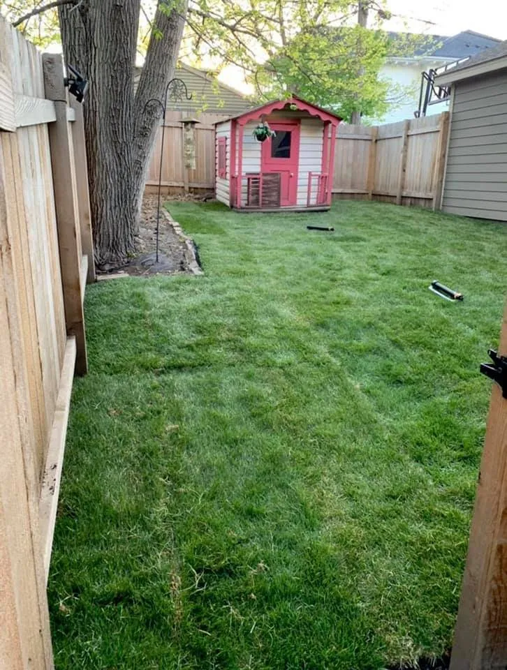 Trusted yard cleanup service for homes in Minneapolis, MN by Sota Landscaping