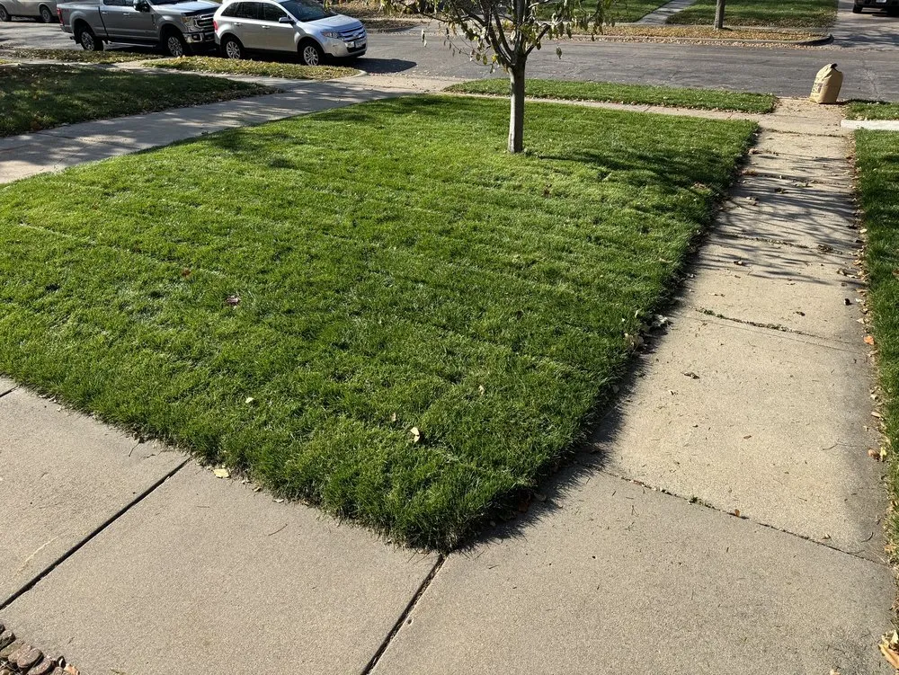 Local yard maintenance experts serving Minneapolis, MN - Sota Landscaping
