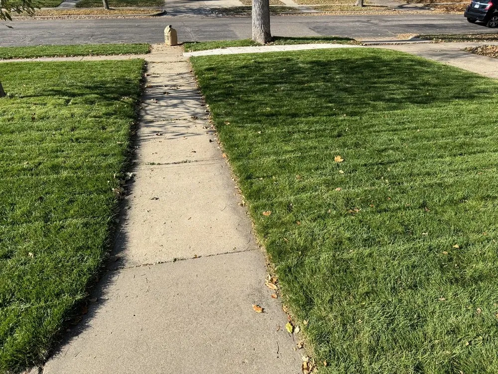 Affordable landscape installation near you across Minneapolis, MN - Sota Landscaping