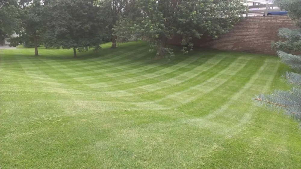 Trusted yard cleanup service in Saint Paul, MN - Sota Outdoor Services