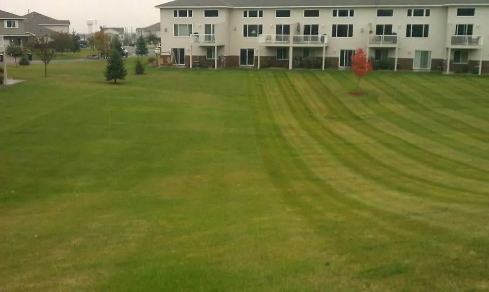 Expert landscape design in Saint Paul, MN by Sota Outdoor Services