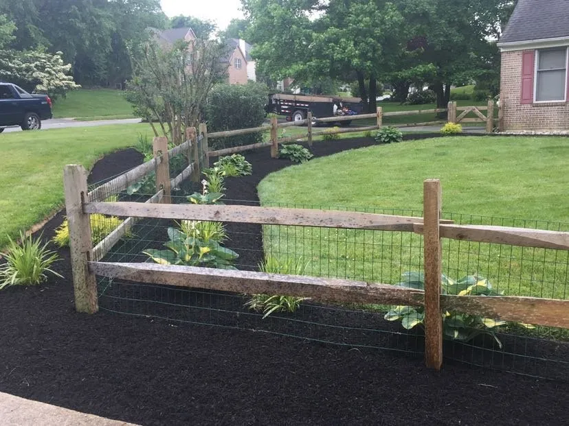 Local yard cleanup service in Newark, DE by Sotelo Landscaping and Hardscaping