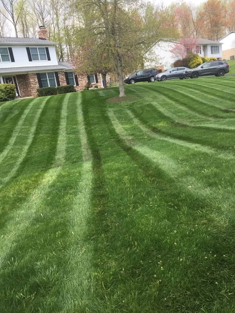 Local lawn mowing service experts serving Newark, DE - Sotelo Landscaping and Hardscaping