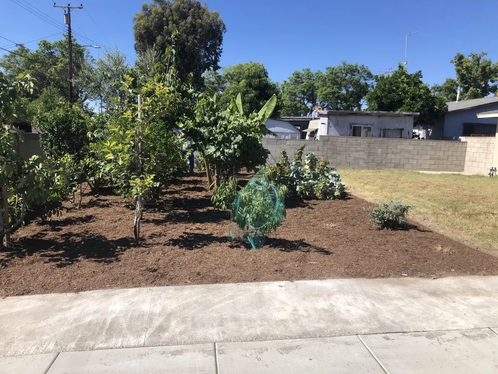 Local garden landscaping in Orange, CA by Sotelo Landscaping