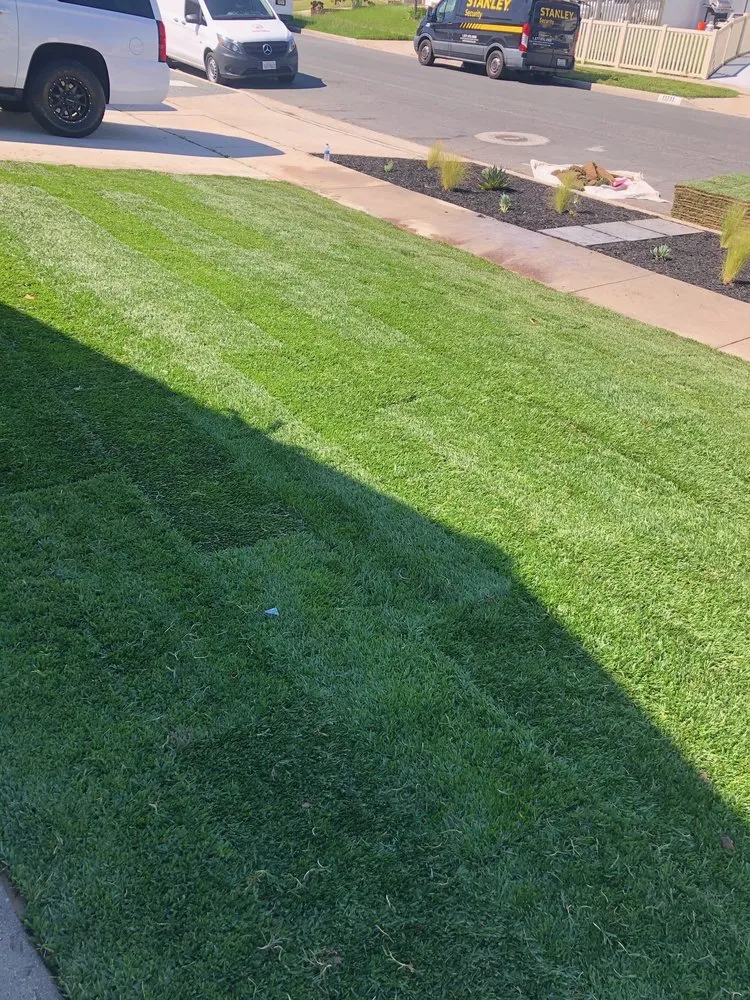 Affordable landscaping services in Orange, CA by Sotelo Landscaping