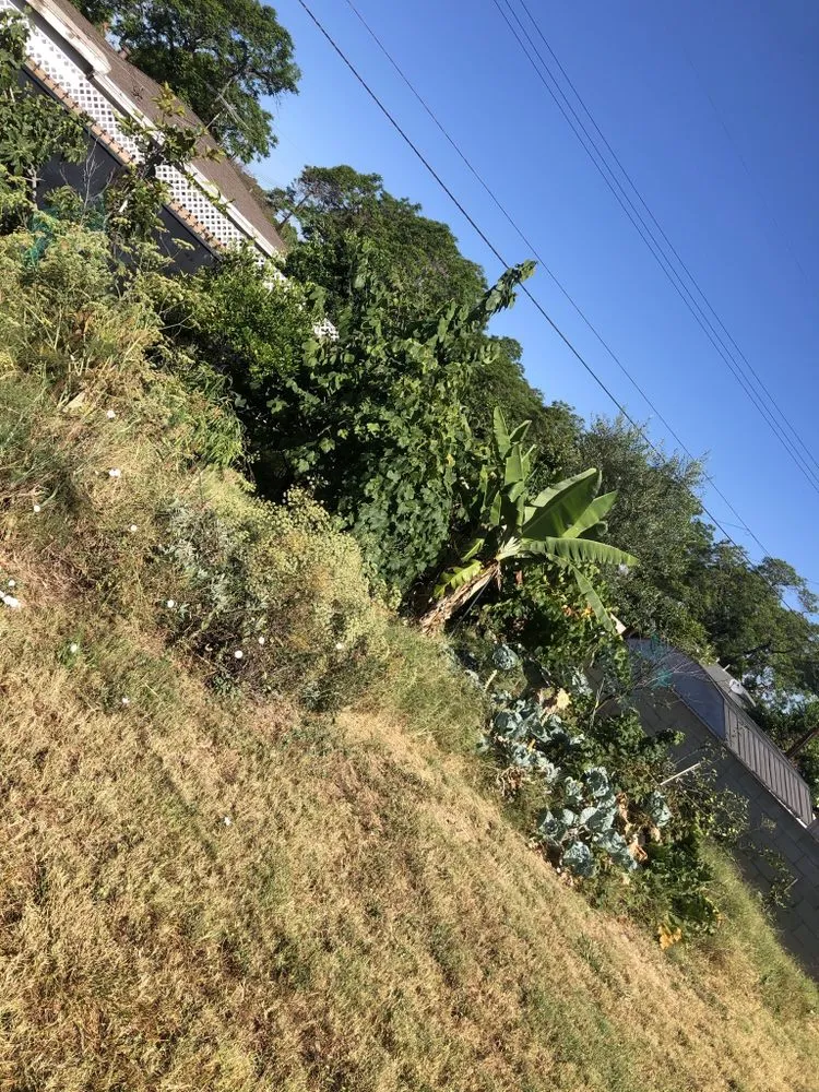 Expert garden landscaping in Orange, CA - Sotelo Landscaping