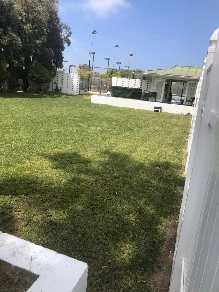 Trusted yard maintenance in Orange, CA by Sotelo Landscaping