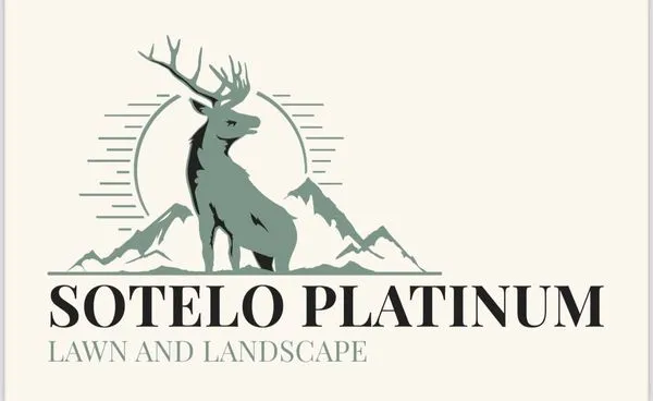 Sotelo Platinum Lawn & Landscape