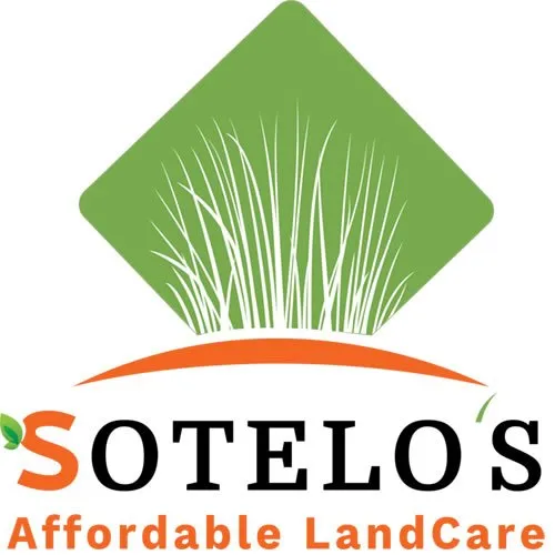 Affordable yard cleanup service near you in Tualatin, OR by Sotelo's Affordable Landcare