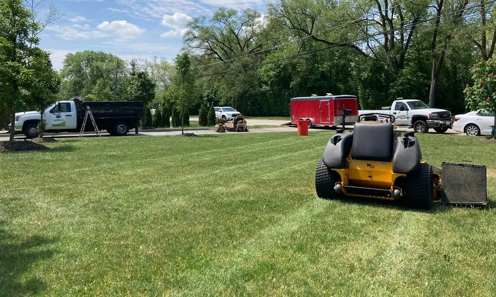 Professional yard cleanup service near you across Glenview, IL - Sotelo's Tree & Lawn Care