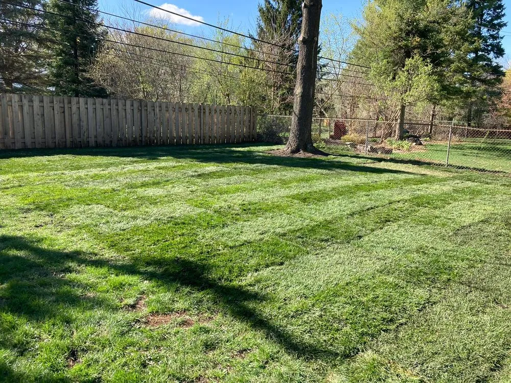 Custom outdoor landscaping in Glenview, IL by Sotelo's Tree & Lawn Care