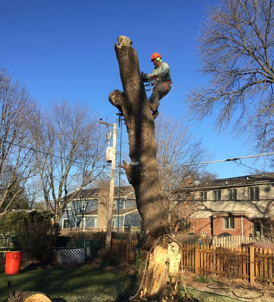 Top-rated garden landscaping experts serving Glenview, IL - Sotelo's Tree & Lawn Care