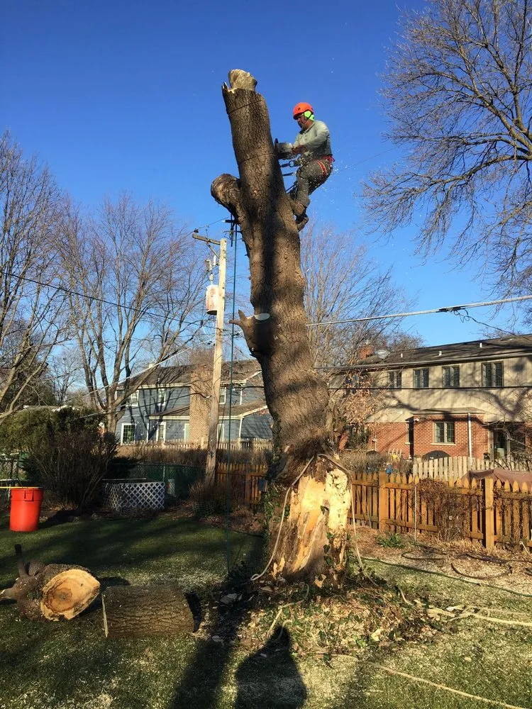 Local landscaping services for homes across Glenview, IL - Sotelo's Tree & Lawn Care