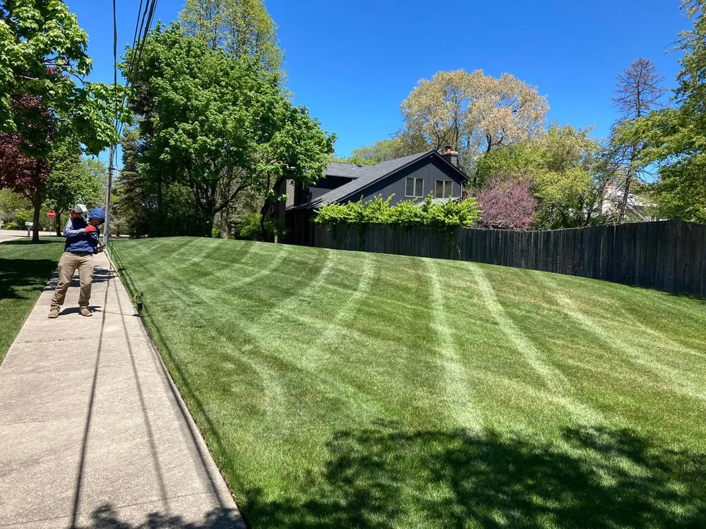 Professional landscaping services experts serving Glenview, IL - Sotelo's Tree & Lawn Care