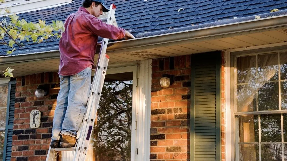 Local outdoor landscaping experts serving Gainesville, FL - Soteria Worx