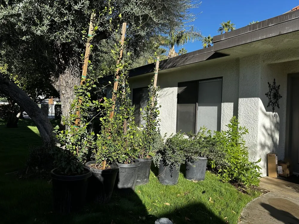 Trusted residential landscaping experts serving Cathedral City, CA - Sotero Landscaping Desert