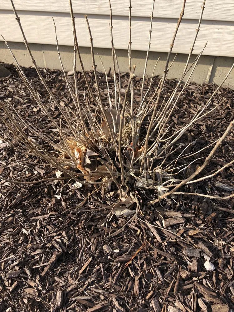 Trusted residential landscaping in Plainfield, IL by Sotir Landscapes