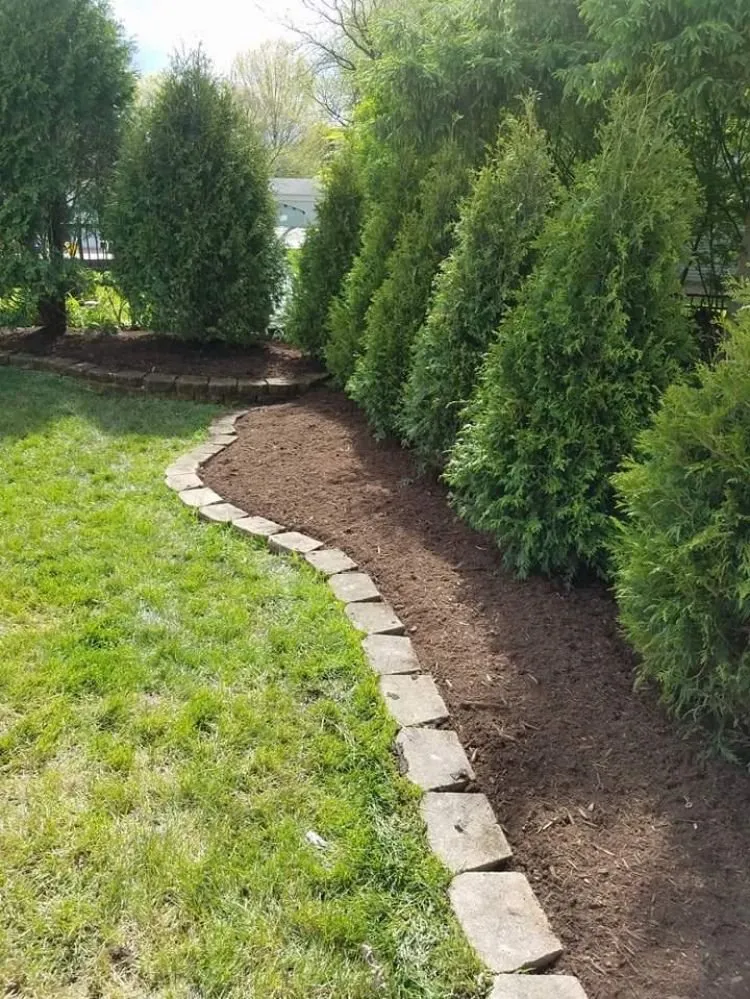 Professional yard maintenance for homes in Aurora, IL by Soto and Sons Landscaping