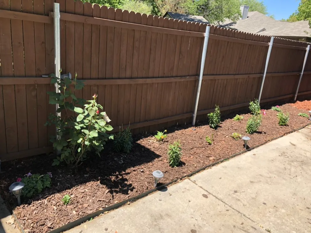 Expert yard maintenance experts serving Aubrey, TX - Soto Bros Landscaping