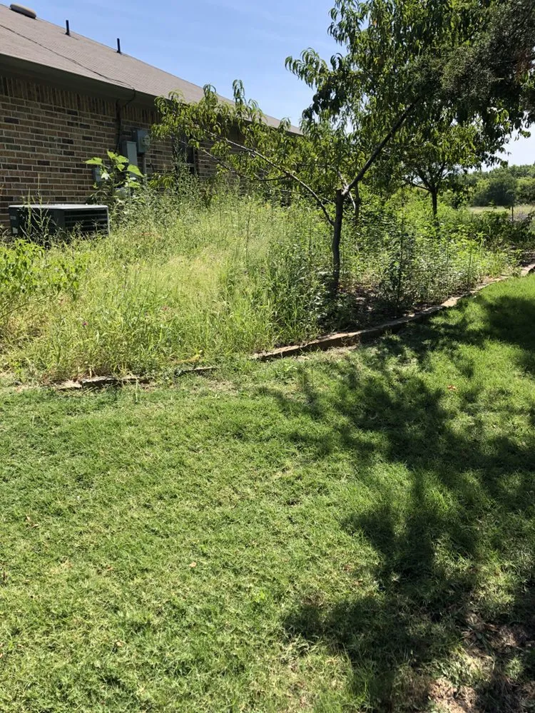 Professional lawn care service near you in Aubrey, TX by Soto Bros Landscaping