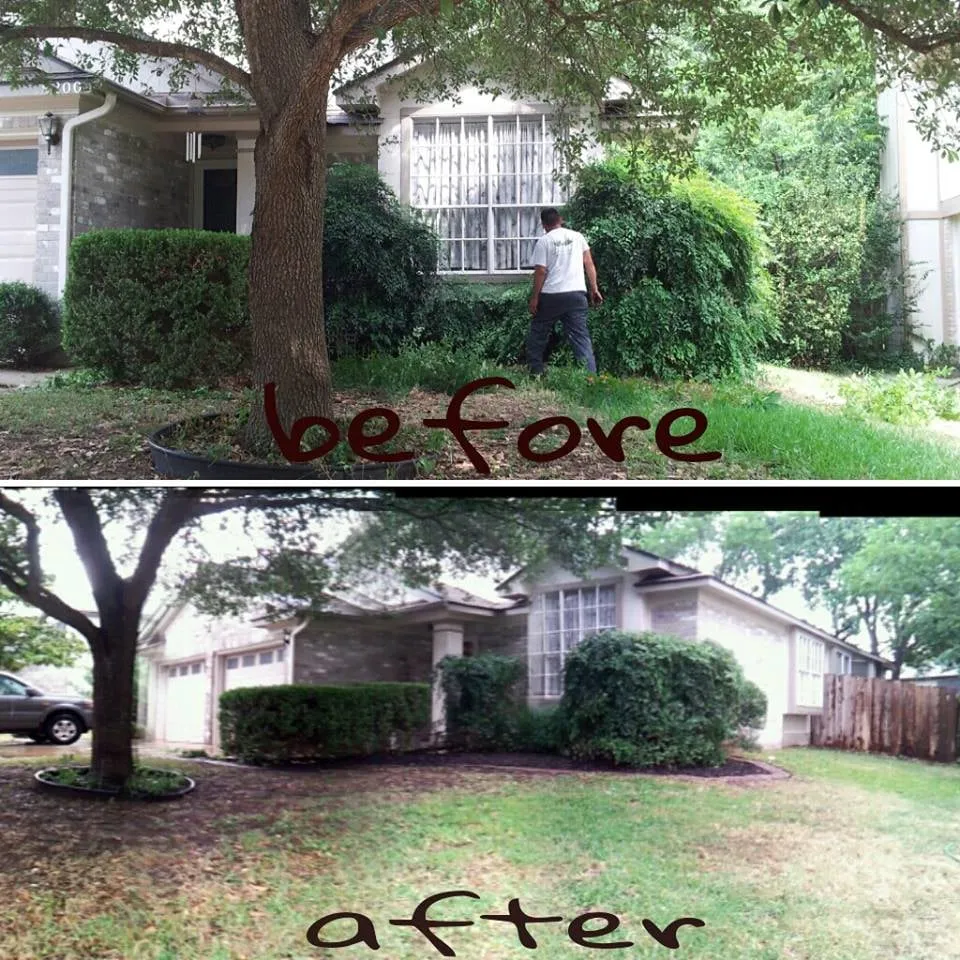 Professional yard maintenance in Buda, TX by Soto Brothers Green Magic Lawn Services