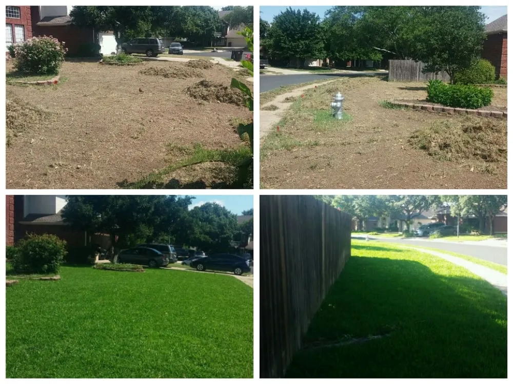 Professional landscape design for residential properties in Buda, TX by Soto Brothers Green Magic Lawn Services