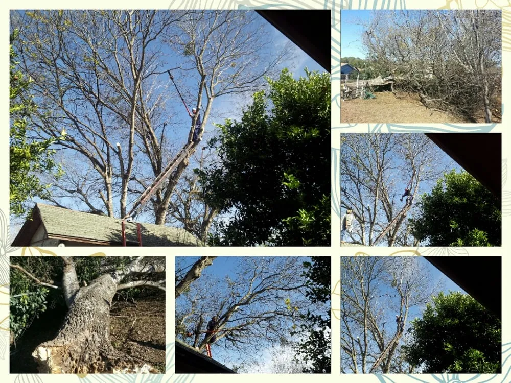 Custom landscaping services experts serving Buda, TX - Soto Brothers Green Magic Lawn Services