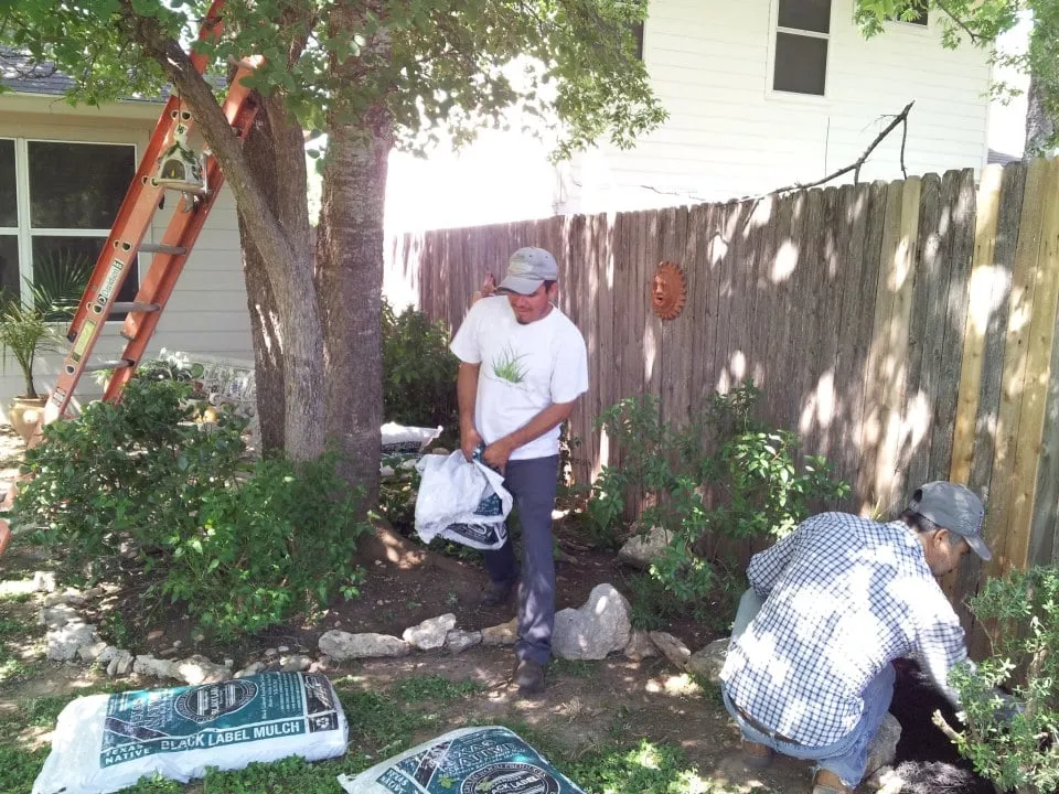 Reliable landscape installation for year-round maintenance in Buda, TX by Soto Brothers Green Magic Lawn Services