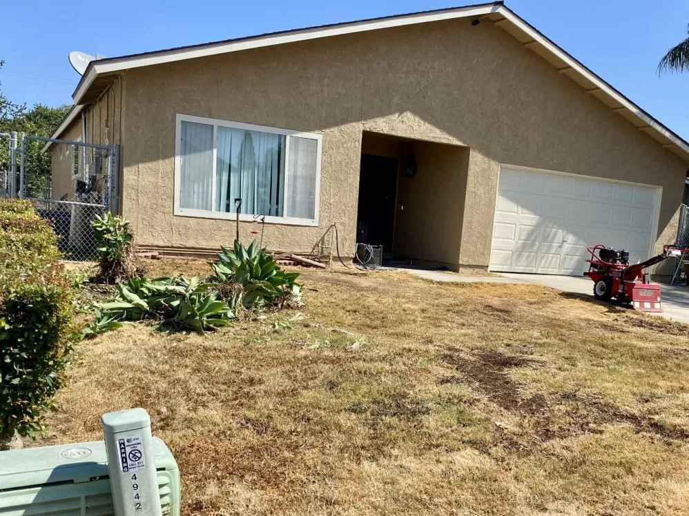 Top-rated yard cleanup service in El Cajon, CA by Soto Gardening