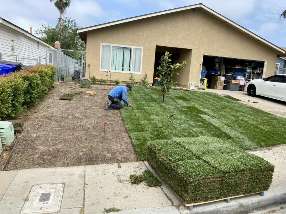 Expert landscape design in El Cajon, CA by Soto Gardening
