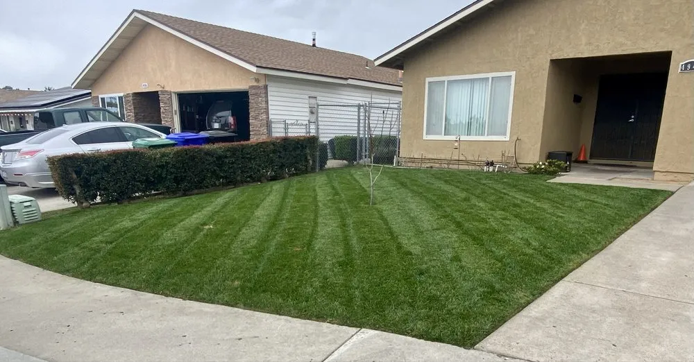 Top-rated lawn care service in El Cajon, CA - Soto Gardening
