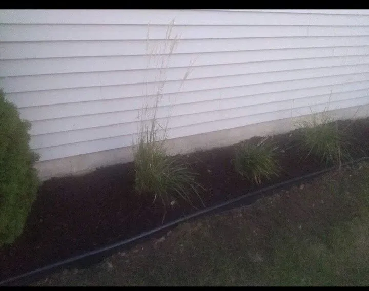 Top-rated landscaping services with custom design across Madison, WI - Soto Landscaping