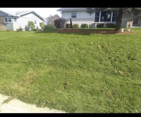 Expert landscape installation with custom design in Madison, WI by Soto Landscaping