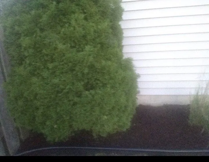 Reliable landscape installation experts serving Madison, WI - Soto Landscaping