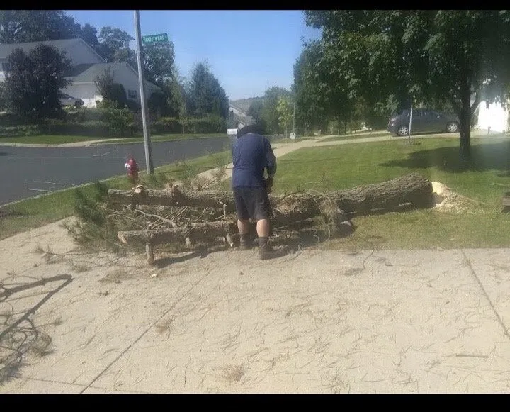 Expert lawn care service experts serving Madison, WI - Soto Landscaping