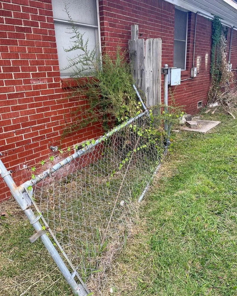 Expert yard cleanup service for outdoor upgrades in Springdale, AR by Soto Lawncare