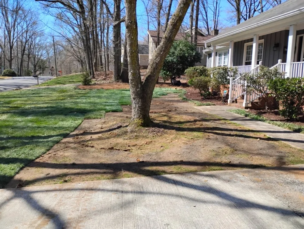 Top-rated landscaping services in Fort Mill, SC by Soto's Green Earth Landscaping