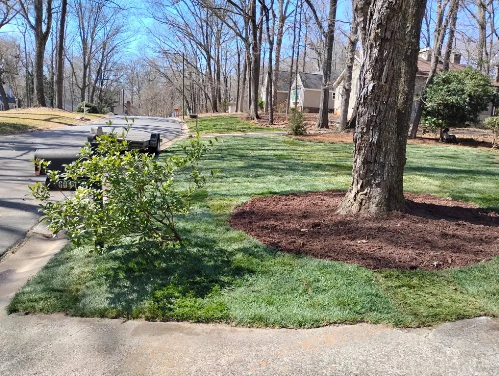 Trusted lawn mowing service experts serving Fort Mill, SC - Soto's Green Earth Landscaping