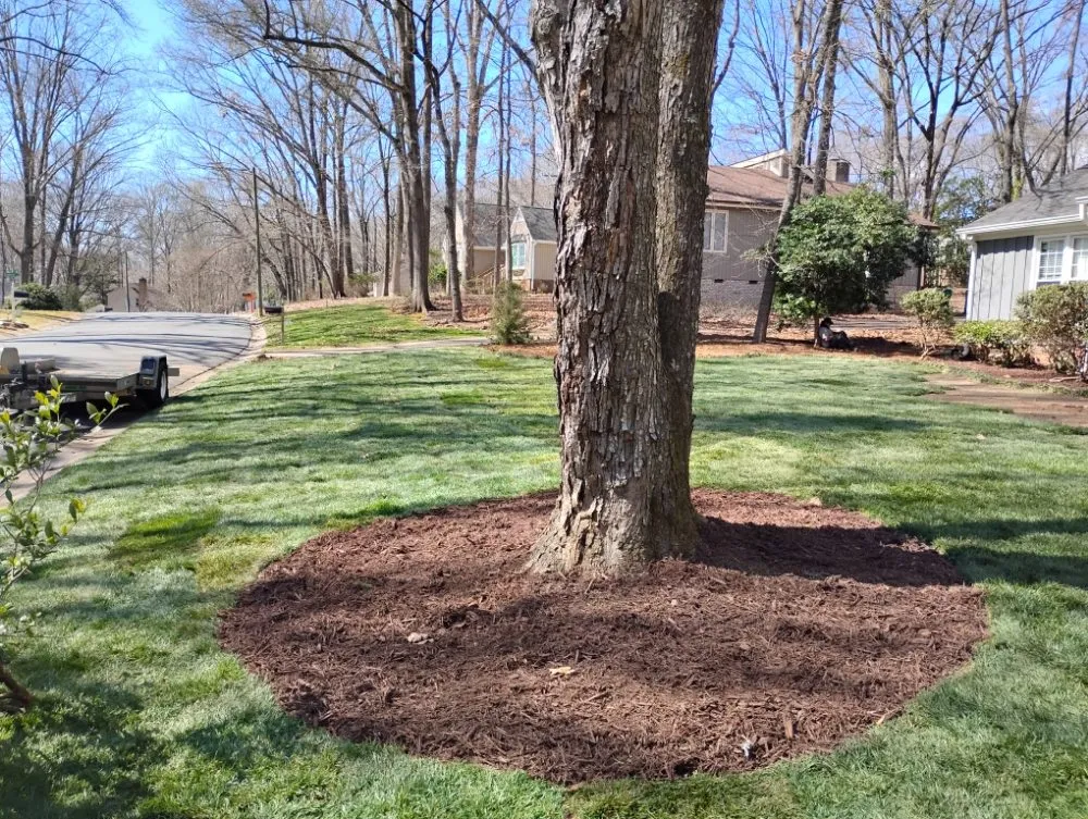 Custom landscape design for beautiful yards in Fort Mill, SC by Soto's Green Earth Landscaping