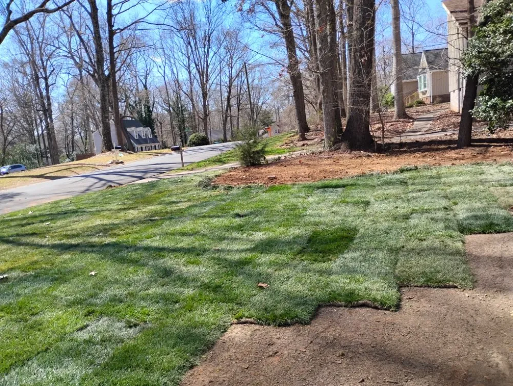 Affordable lawn mowing service for homes across Fort Mill, SC - Soto's Green Earth Landscaping