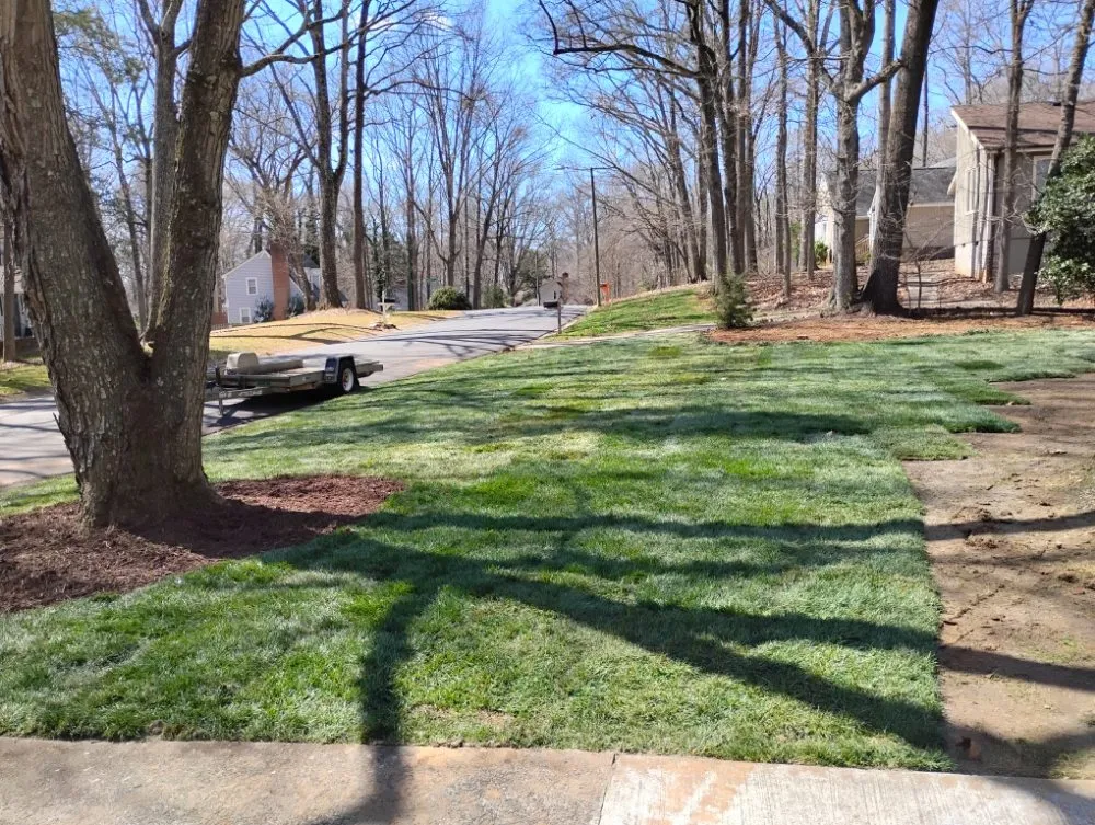 Local lawn care service for outdoor upgrades across Fort Mill, SC - Soto's Green Earth Landscaping